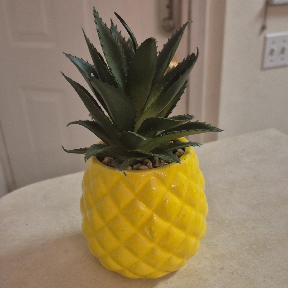Wit Space Artificial  Succulent Potted Plant Pinnaple